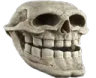 trollskull
