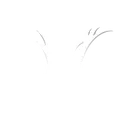 valkyrielogo Discord Emoji