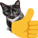 blackthumbsupcat
