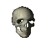 Rotating_skull