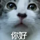 emoji_160