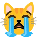 catsob