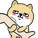 doge_dont_go
