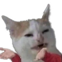 DD_wutf Discord emoji