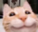 HappyCat HappyCat