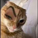 emoji_22 emoji_22