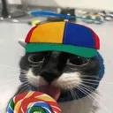 silly silly