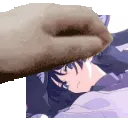 petpuh petpuh