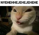 NYEHEHHEJEHEJEHEHE