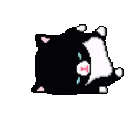 black_kitty_roll Discord Emoji