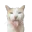 bleh