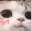 Uwucat