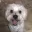 happycookie