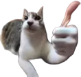 Thumby
