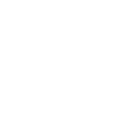 L_
