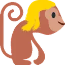 monkey