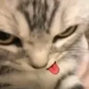 teehee