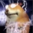 hamster_yourself