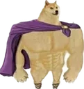 romandoge Discord Emoji
