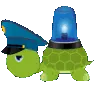 turtlepolice