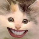 cat_hehe cat_hehe