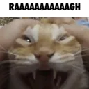 RAAAAAAAGH