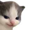 hehe