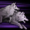 :sobaka3_wild_charge: