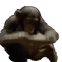 MODS