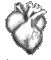 04_heart