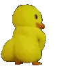 FunnyDuck