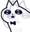 bunny_what