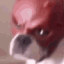 dogmask