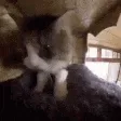 ICANTWITHTHISIMGOINGCRAZY
