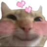 Lovecat