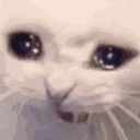sadlaugh