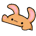 jacebongo