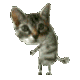 Dancing Cat DancingCat Discord Emoji