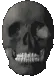 Skull Skull