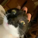 wideeyes