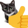 TC_ThumbsUpCat TC_ThumbsUpCat