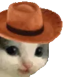 MEOWDY