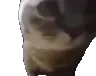 chipichapa