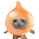 onioncat
