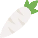 carrot