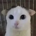 transantegames123