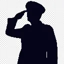 salute salute