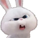 confusedbunny