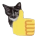 catthumbup