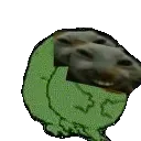 xddsegz xddsegz